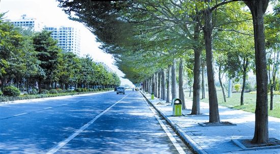 崖州灣科技城研學(xué)大道A段道路工程項(xiàng)目EPC、監(jiān)理