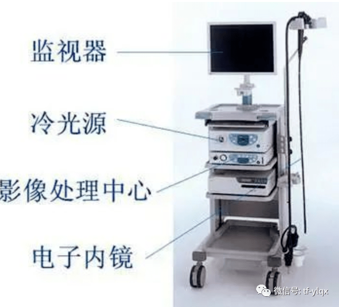 西安交通大學(xué)第二附屬醫(yī)院消化內(nèi)鏡、介入耗材供應(yīng)商遴選項目