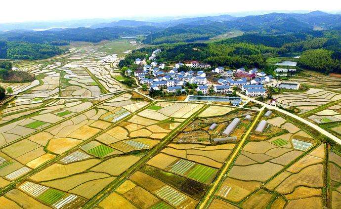 西安市臨潼區(qū)農(nóng)村“房地一體”宅基地和集體建設(shè)用地不動(dòng)產(chǎn)權(quán)籍調(diào)查牽頭服務(wù)采購項(xiàng)目、地權(quán)籍調(diào)查服務(wù)采購項(xiàng)目