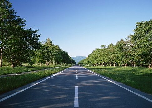 西咸新區(qū)空港新城景平大街(萬(wàn)聯(lián)大道-廣德路）以及北杜大街（安德路-廣德路）結(jié)算審核工程